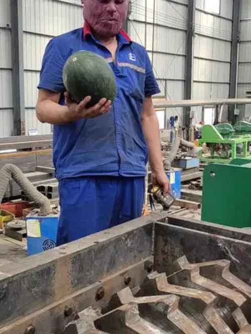 商用西瓜粉碎機 食品加工機械設備的高效應用