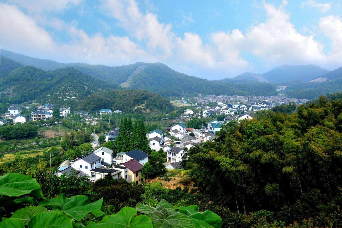 領航農業